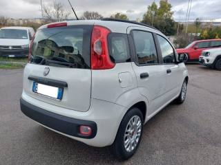 FIAT Panda usata, con Immobilizzatore elettronico
