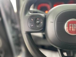 FIAT Panda Cross usata, con Chiusura centralizzata telecomandata
