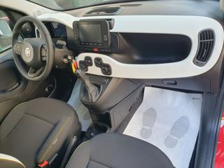 FIAT Panda usata, con Cruise Control
