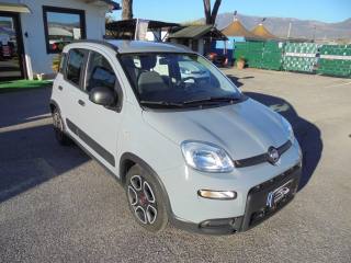 FIAT Panda usata 18
