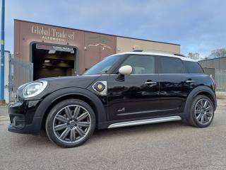 MINI Countryman usata, con Controllo vocale