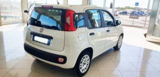 FIAT Panda usata, con Alzacristalli elettrici