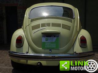 VOLKSWAGEN Maggiolone usata 7