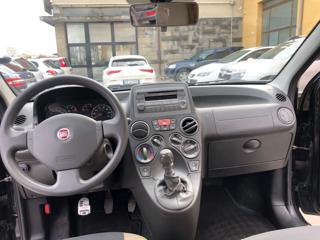 FIAT Panda usata, con Fendinebbia