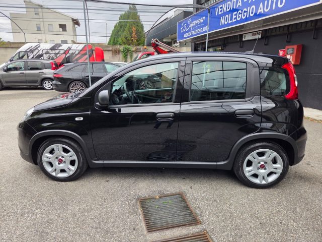 FIAT Panda usata, con Antifurto
