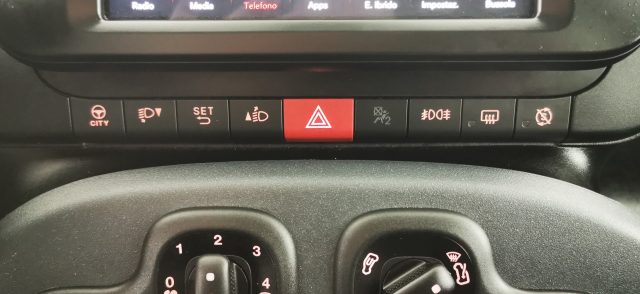 FIAT Panda Cross usata 69