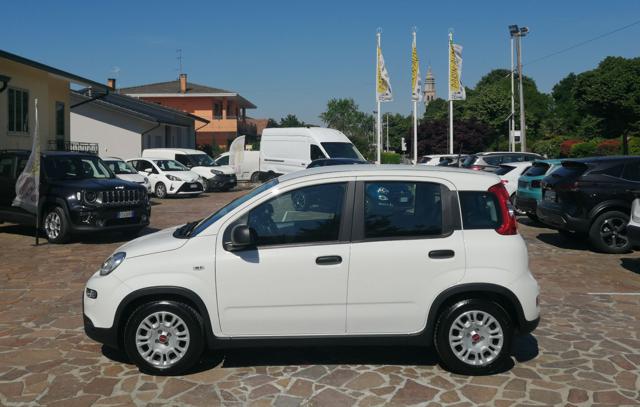 FIAT Panda usata, con Airbag
