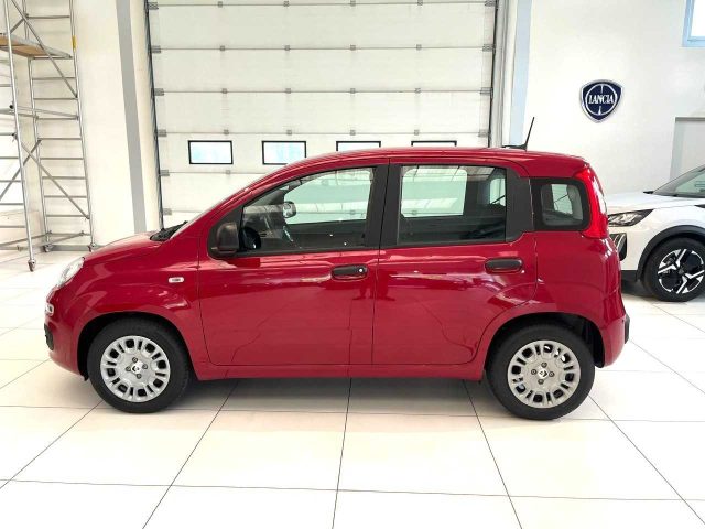 FIAT Panda usata, con Airbag