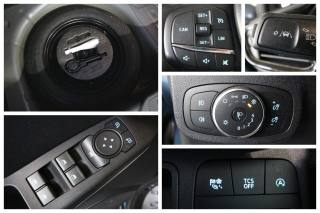 FORD Fiesta usata, con Immobilizzatore elettronico