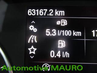 FORD EcoSport usata, con Servosterzo