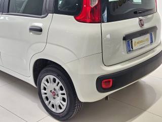 FIAT Panda usata, con Antifurto