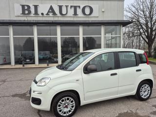 FIAT Panda 1.2 EASY POWER GPL LUNGUE NO VINCOLI
