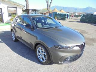 ALFA ROMEO Tonale usata, con Riconoscimento dei segnali stradali