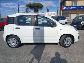 FIAT Panda usata, con ESP