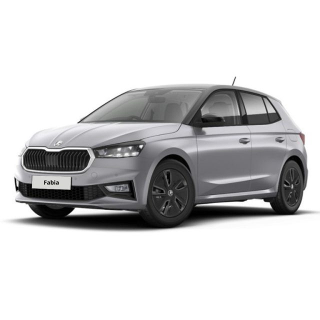 SKODA Fabia usata, con ABS