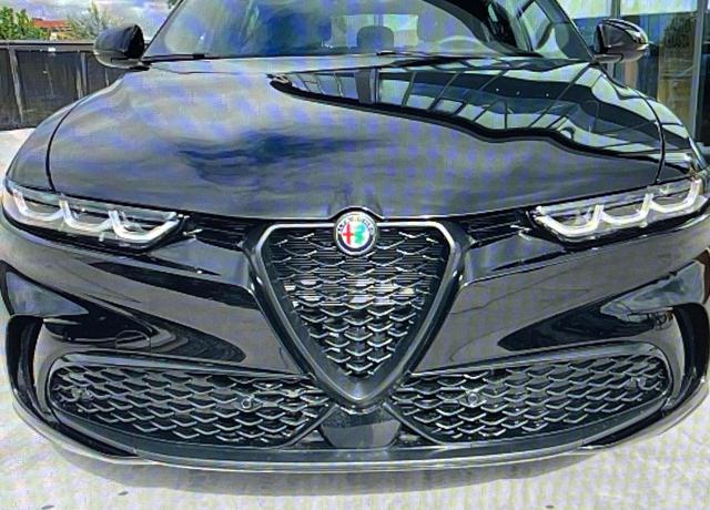 ALFA ROMEO Tonale usata, con Airbag