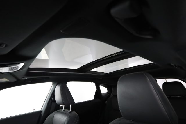 LEXUS RX 450h usata 7