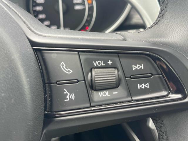 ALFA ROMEO Stelvio usata, con Bracciolo