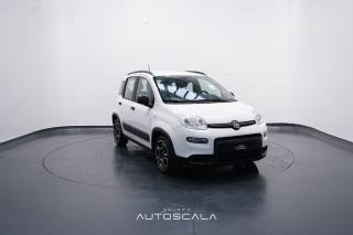 FIAT New Panda usata, con Controllo automatico clima