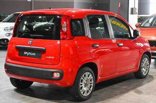 FIAT Panda usata, con Antifurto