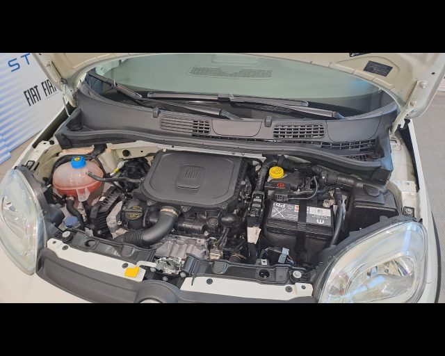 FIAT New Panda usata 22