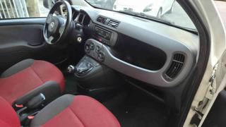 FIAT Panda usata, con Airbag testa