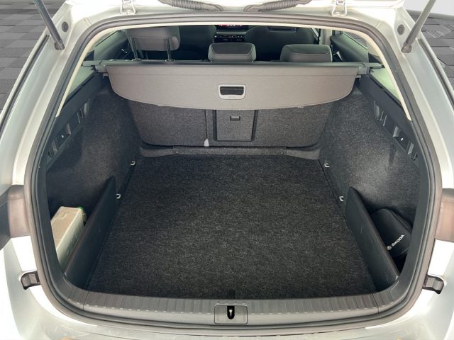 SKODA Octavia usata 12