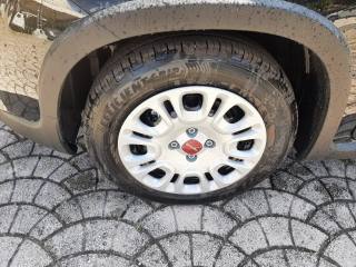 FIAT Panda usata, con Antifurto