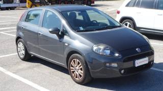 FIAT Punto usata, con Airbag