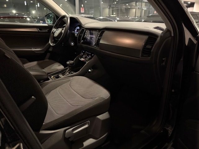 SKODA Kodiaq usata, con Controllo vocale