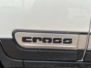 FIAT Panda Cross usata, con Boardcomputer