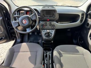FIAT Panda usata, con Climatizzatore