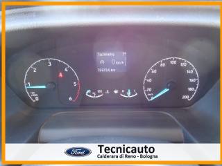 FORD Transit usata 13
