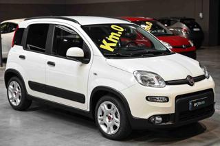 FIAT Panda usata, con Airbag Passeggero