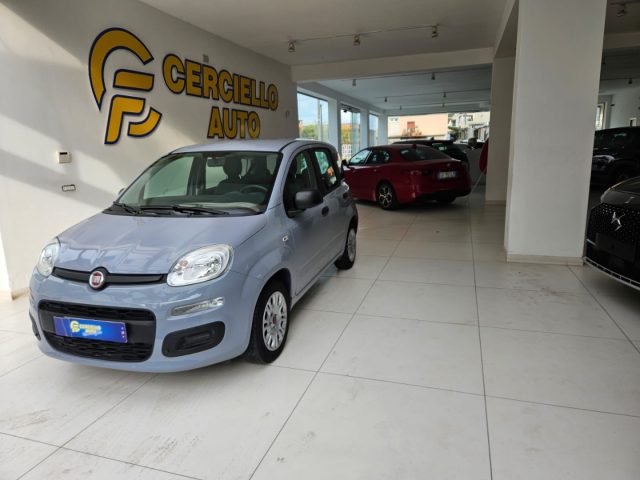 FIAT Panda usata, con Airbag Passeggero