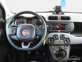 FIAT Panda usata 28