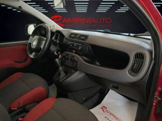 FIAT Panda usata 16