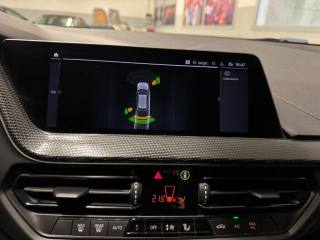 BMW 116 usata, con Interni in pelle