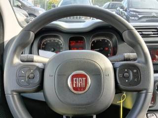 FIAT Panda usata, con Climatizzatore