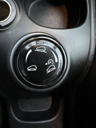 FIAT Panda Cross usata, con Servosterzo