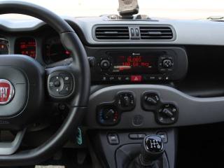 FIAT Panda usata, con Luci diurne