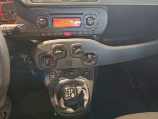 FIAT Panda usata, con Airbag testa
