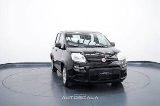 FIAT New Panda usata, con Controllo trazione