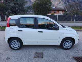 FIAT Panda usata, con Climatizzatore