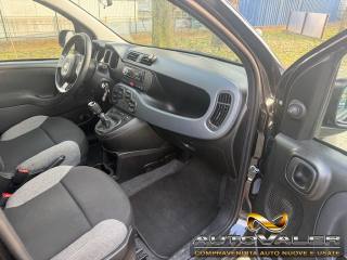 FIAT Panda usata, con ESP