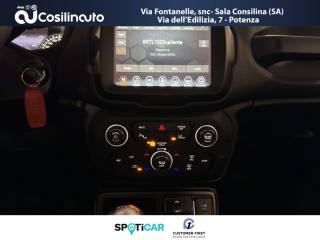 JEEP Renegade usata, con Park Distance Control