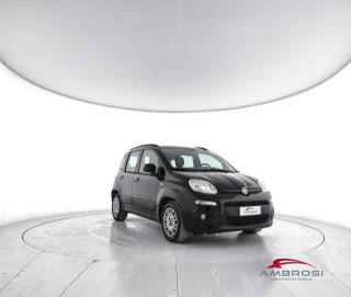 FIAT Panda usata 1