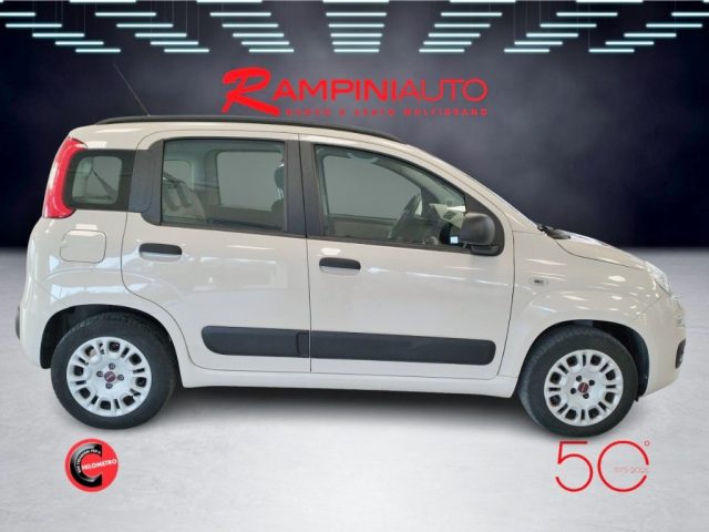 FIAT Panda usata 6