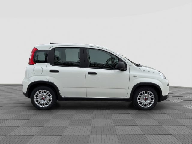 FIAT Panda usata 5