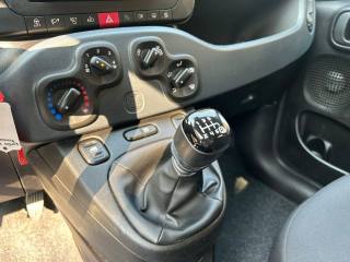 FIAT Panda usata, con Controllo trazione
